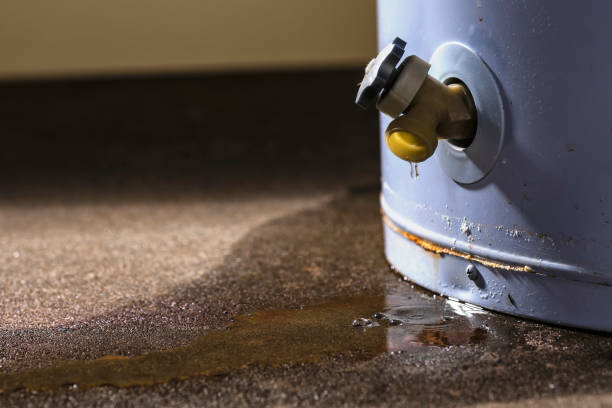 Best Ceiling water damage repair  in Inwood, NY