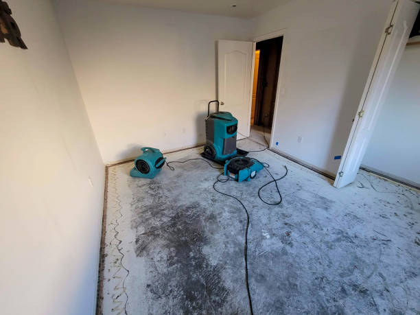 Best Flooded house restoration  in Inwood, NY
