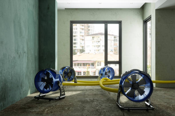 Best Water damage restoration near me  in Inwood, NY
